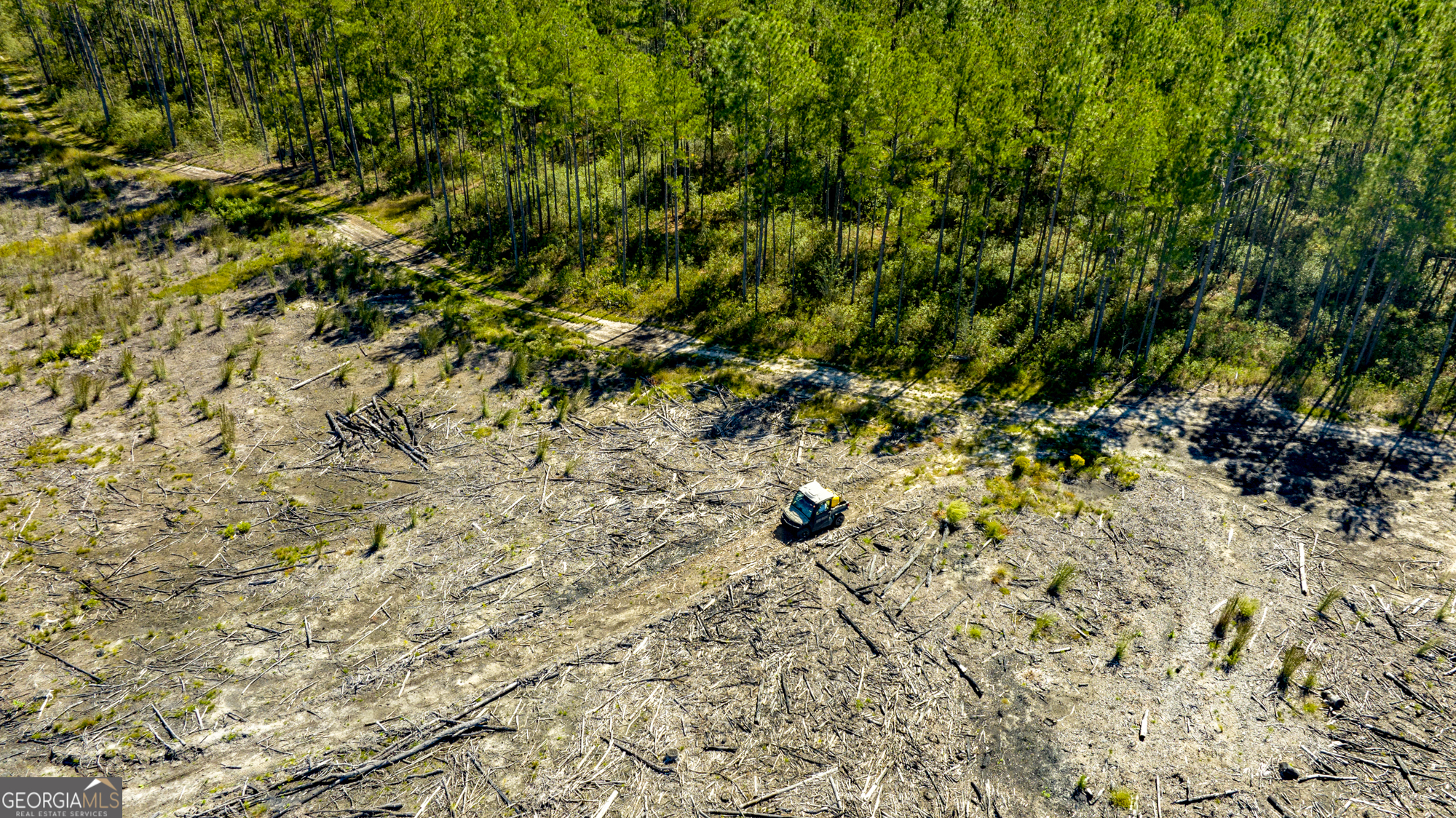O Bay Branch Church Road Claxton, GA 30417 - Photo 16 of 52