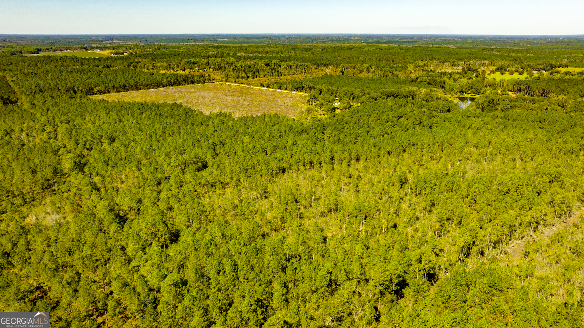 O Bay Branch Church Road Claxton, GA 30417 - Photo 17 of 52