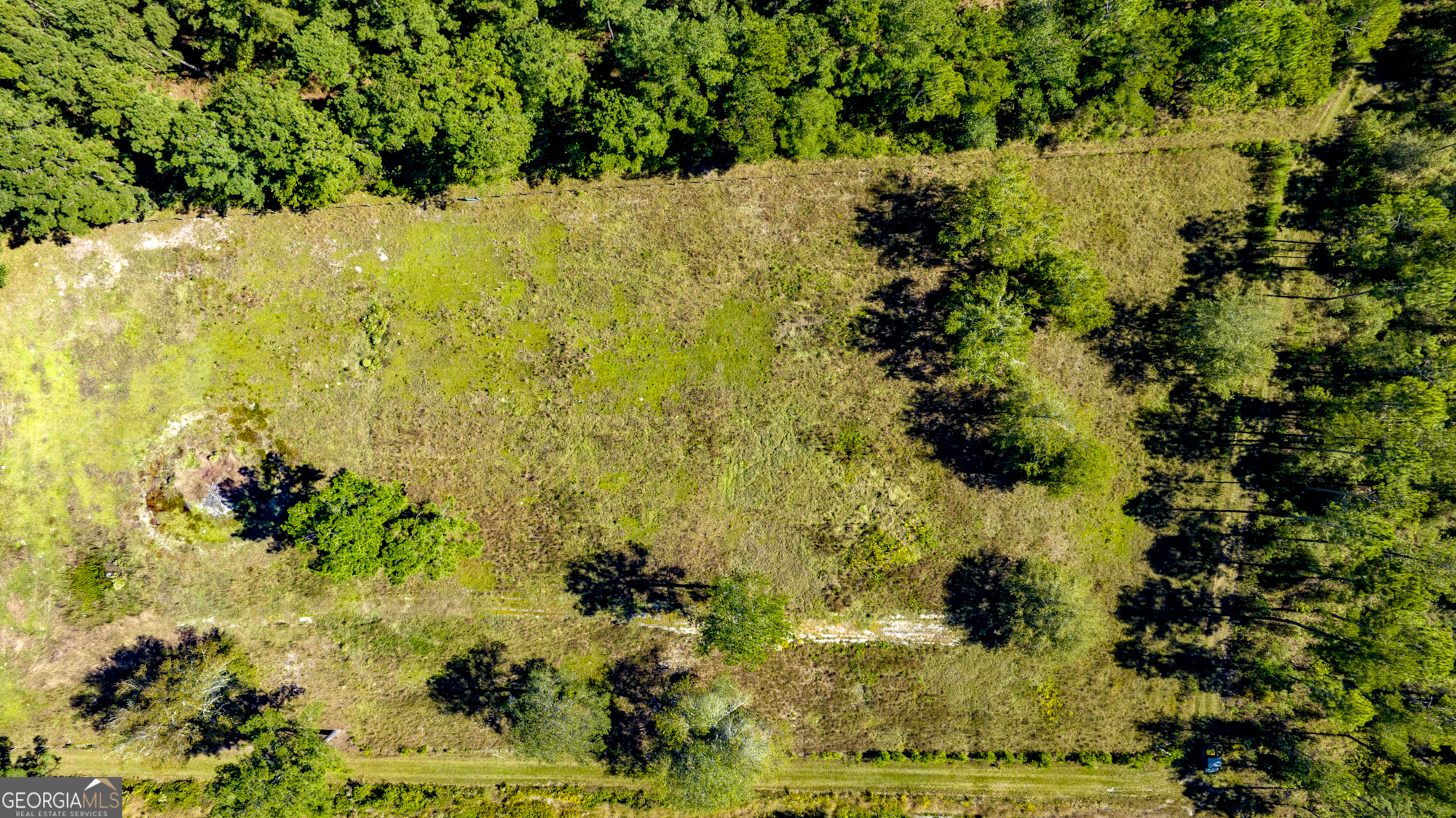 O Bay Branch Church Road Claxton, GA 30417 - Photo 18 of 52