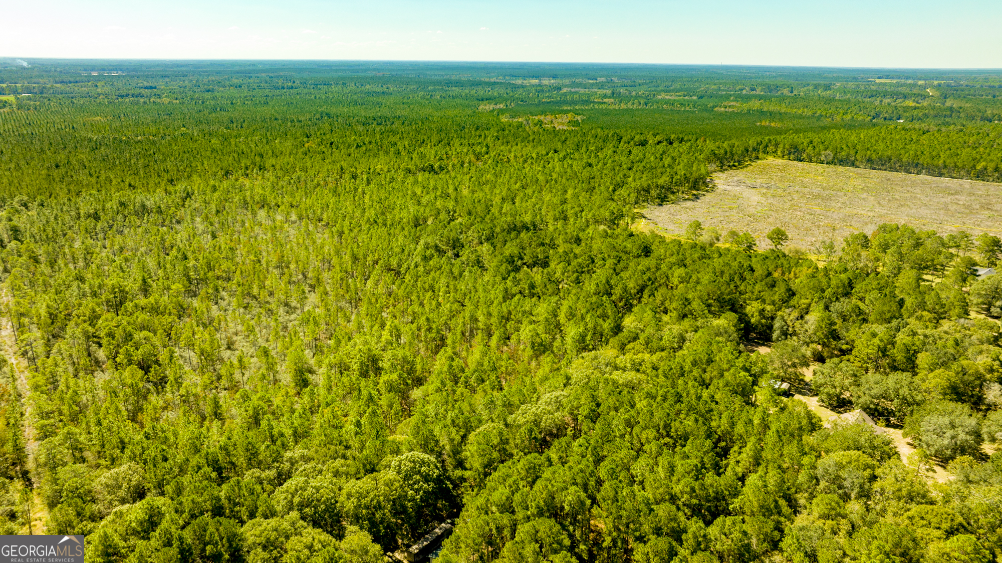 O Bay Branch Church Road Claxton, GA 30417 - Photo 19 of 52