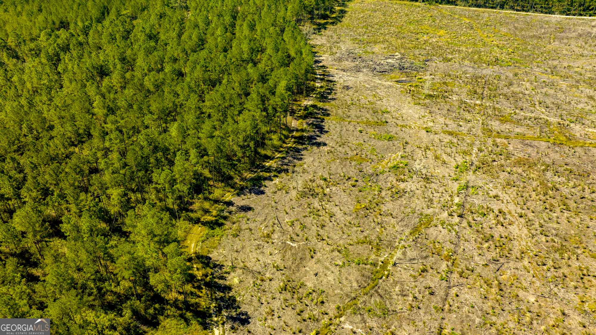 O Bay Branch Church Road Claxton, GA 30417 - Photo 2 of 52