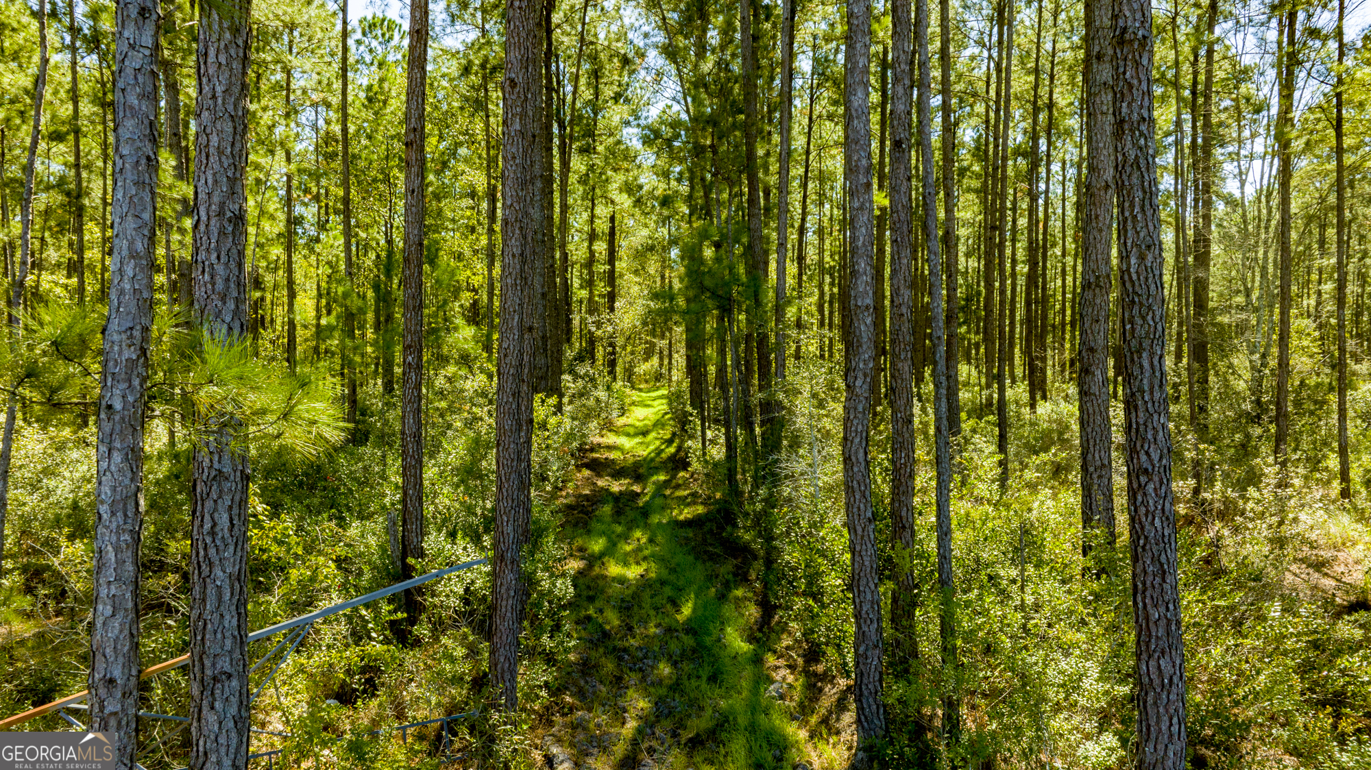 O Bay Branch Church Road Claxton, GA 30417 - Photo 22 of 52