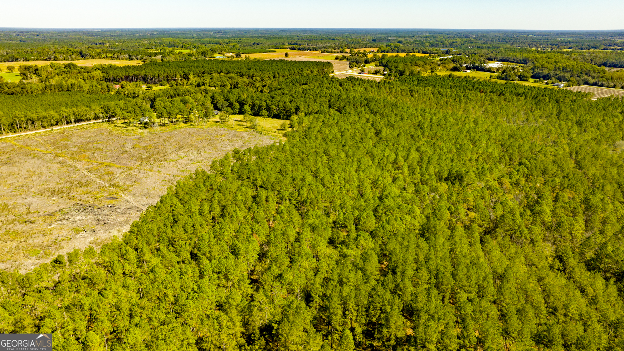 O Bay Branch Church Road Claxton, GA 30417 - Photo 23 of 52