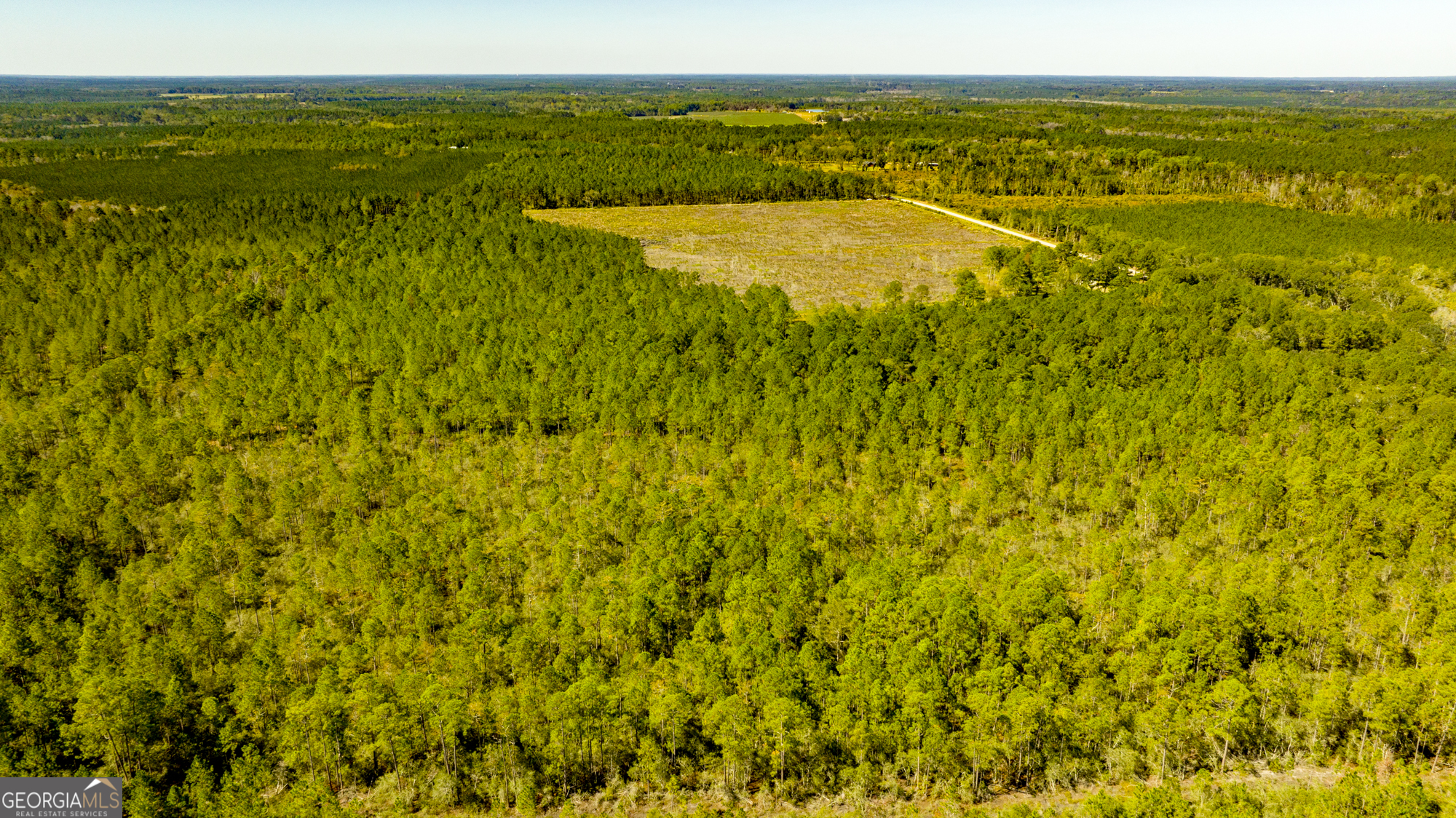 O Bay Branch Church Road Claxton, GA 30417 - Photo 27 of 52