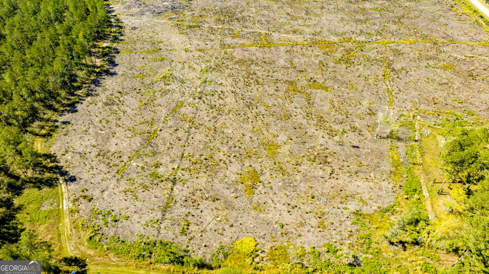 O Bay Branch Church Road Claxton, GA 30417 - Photo 28 of 52