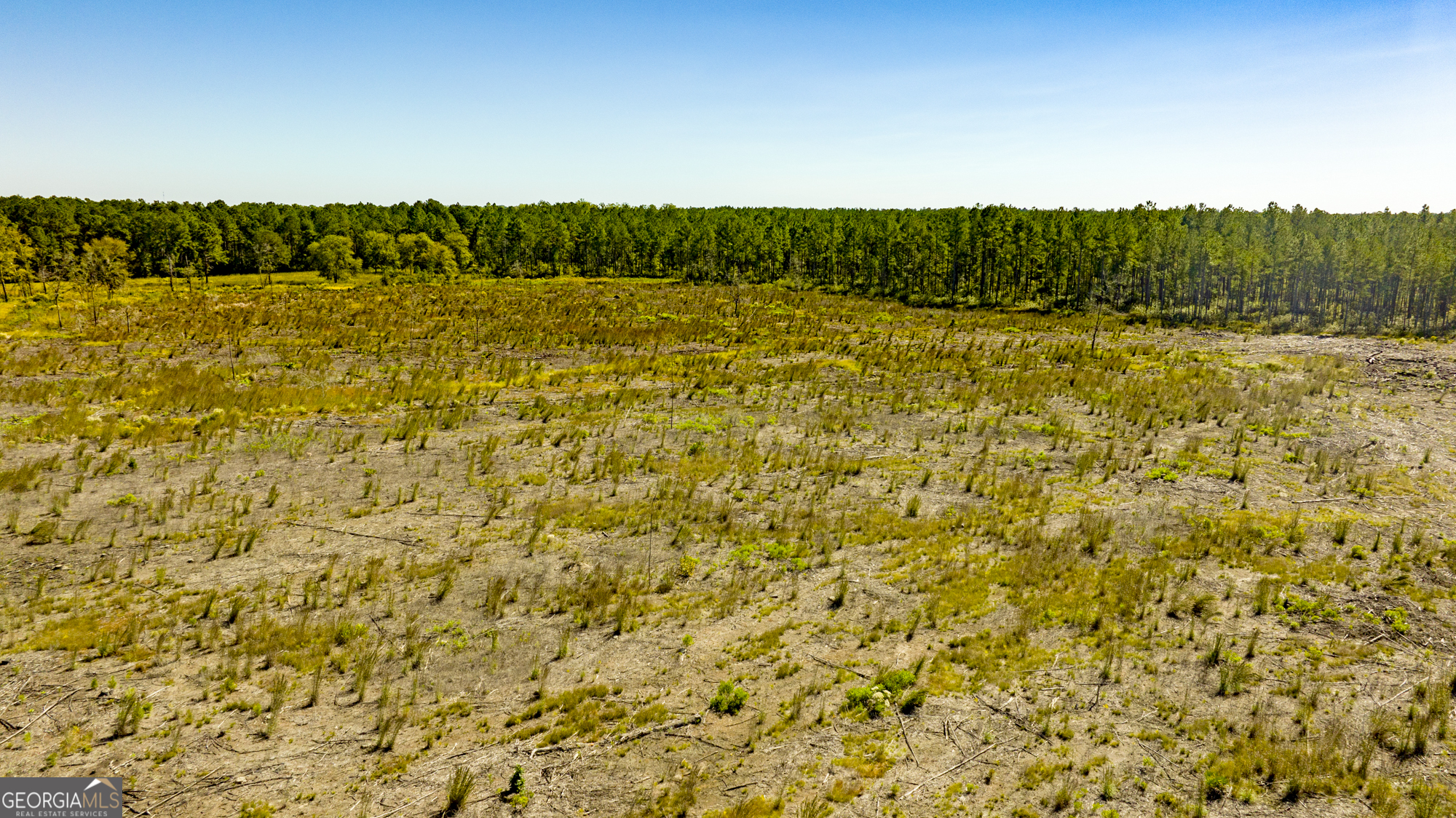 O Bay Branch Church Road Claxton, GA 30417 - Photo 29 of 52