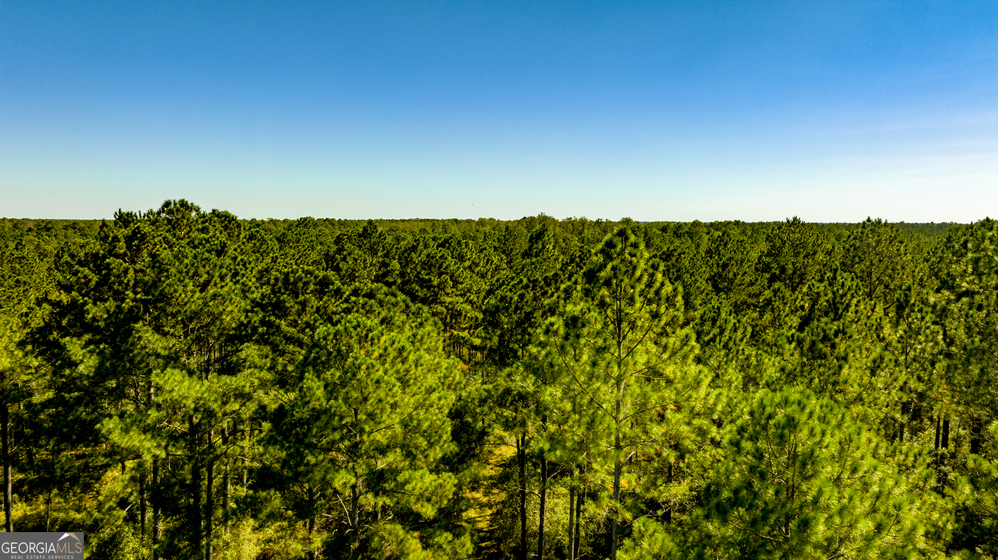 O Bay Branch Church Road Claxton, GA 30417 - Photo 30 of 52
