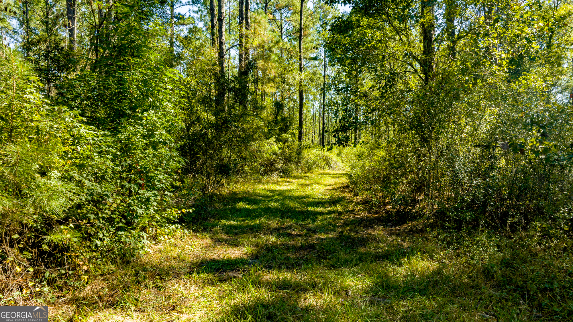 O Bay Branch Church Road Claxton, GA 30417 - Photo 32 of 52