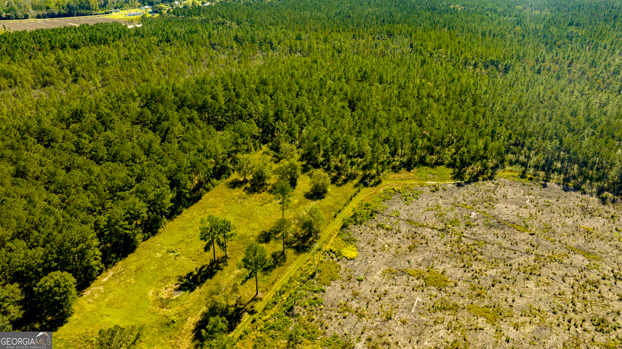 O Bay Branch Church Road Claxton, GA 30417 - Photo 33 of 52