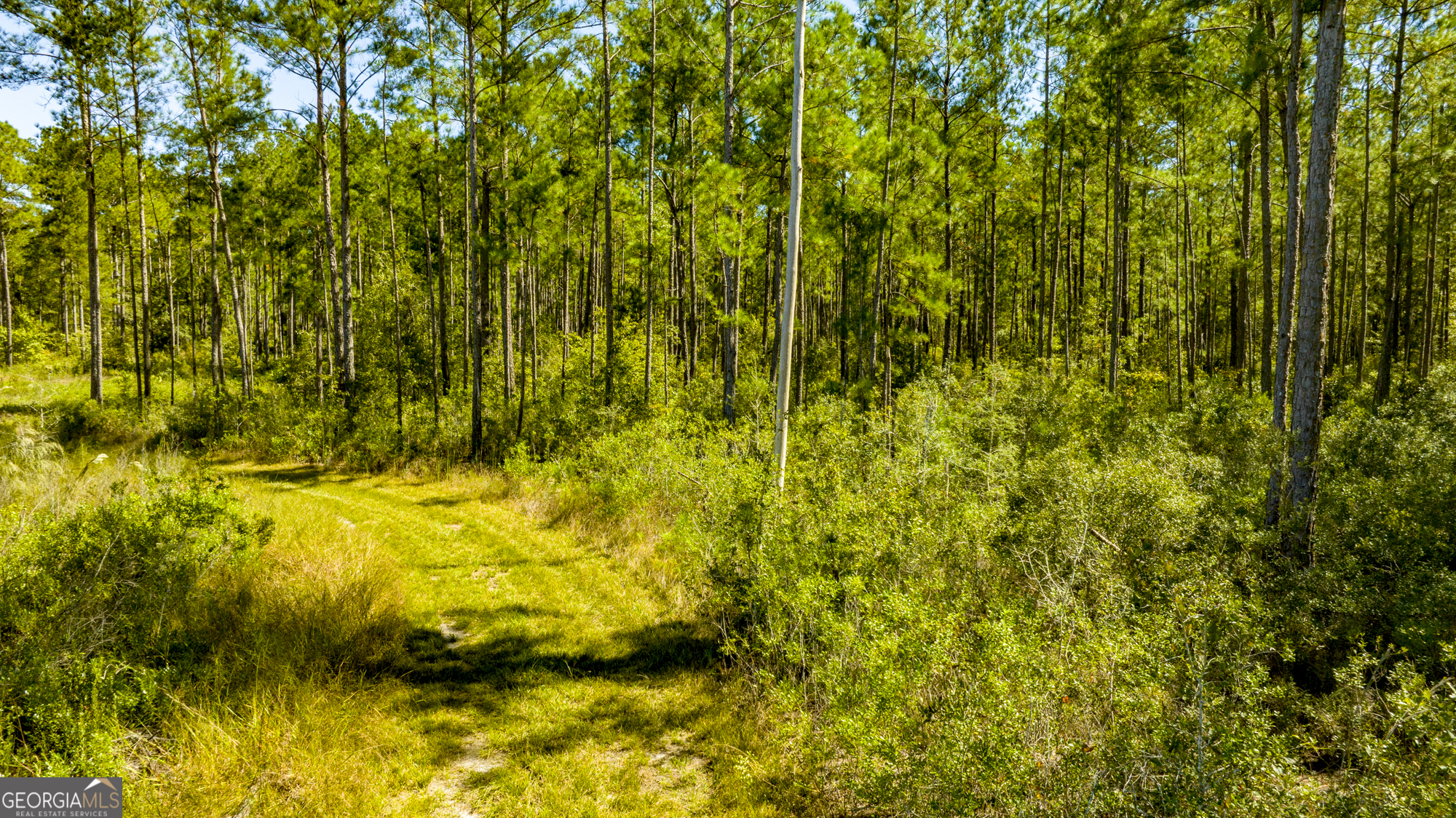 O Bay Branch Church Road Claxton, GA 30417 - Photo 38 of 52