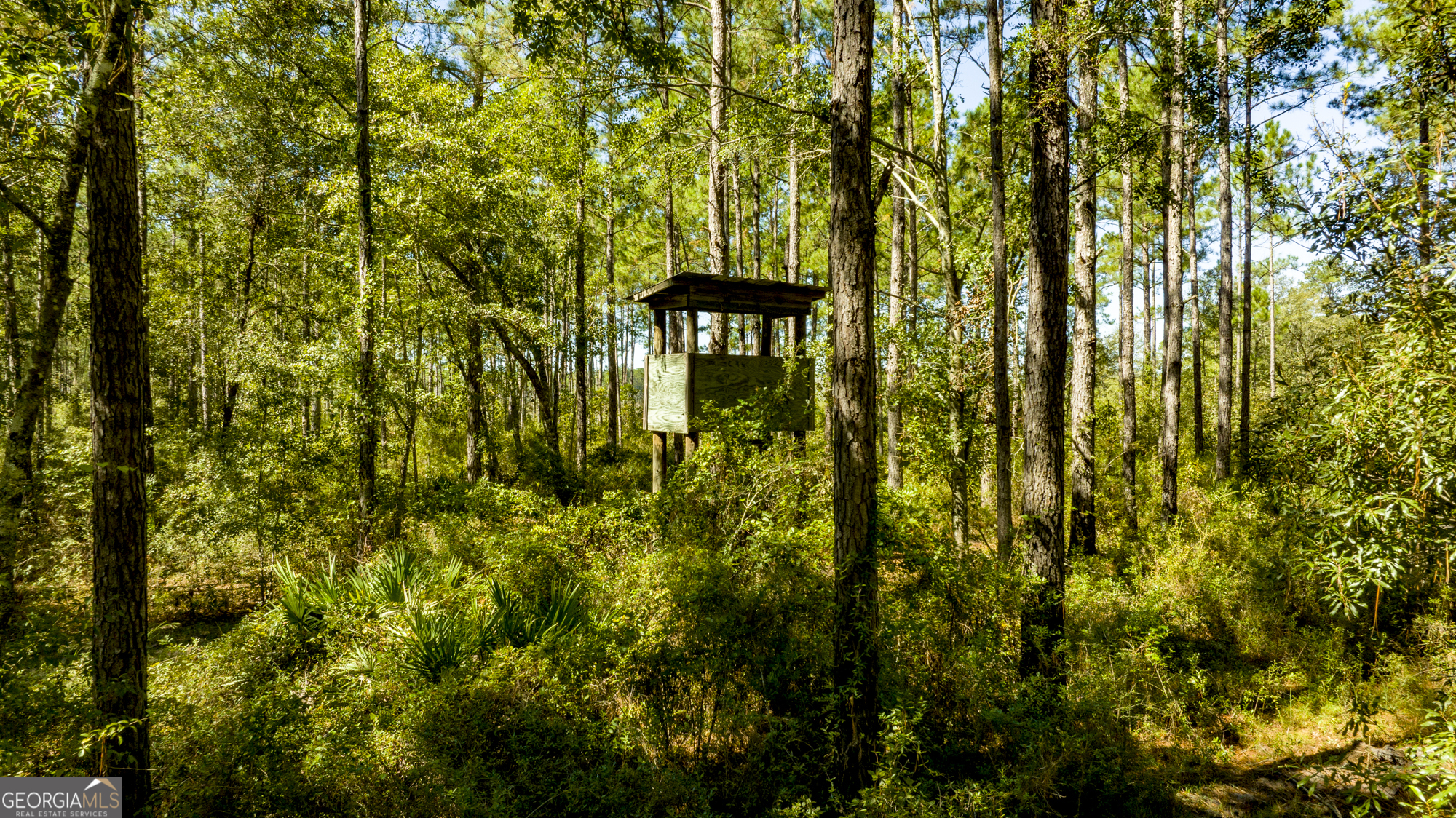 O Bay Branch Church Road Claxton, GA 30417 - Photo 4 of 52
