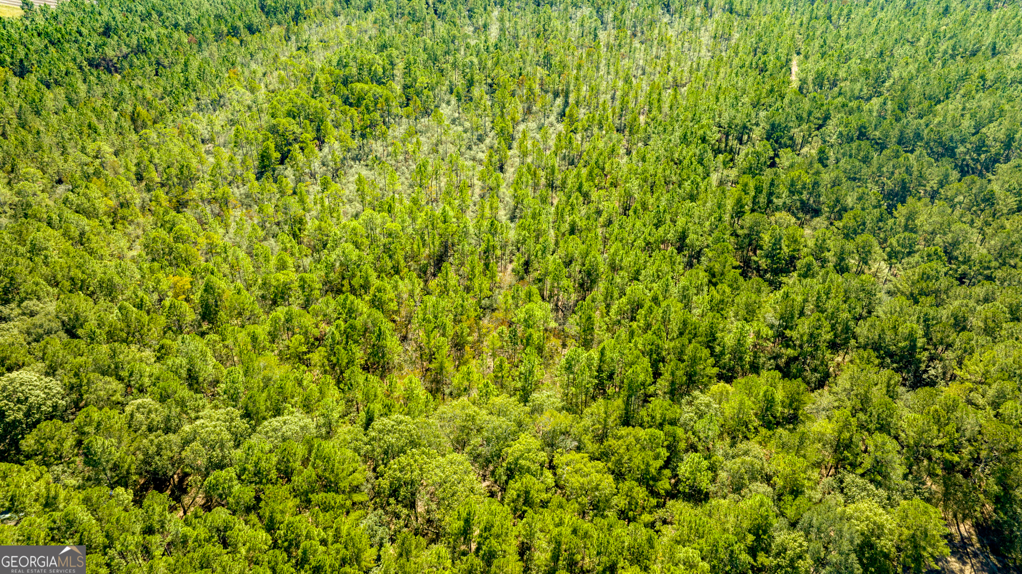 O Bay Branch Church Road Claxton, GA 30417 - Photo 41 of 52