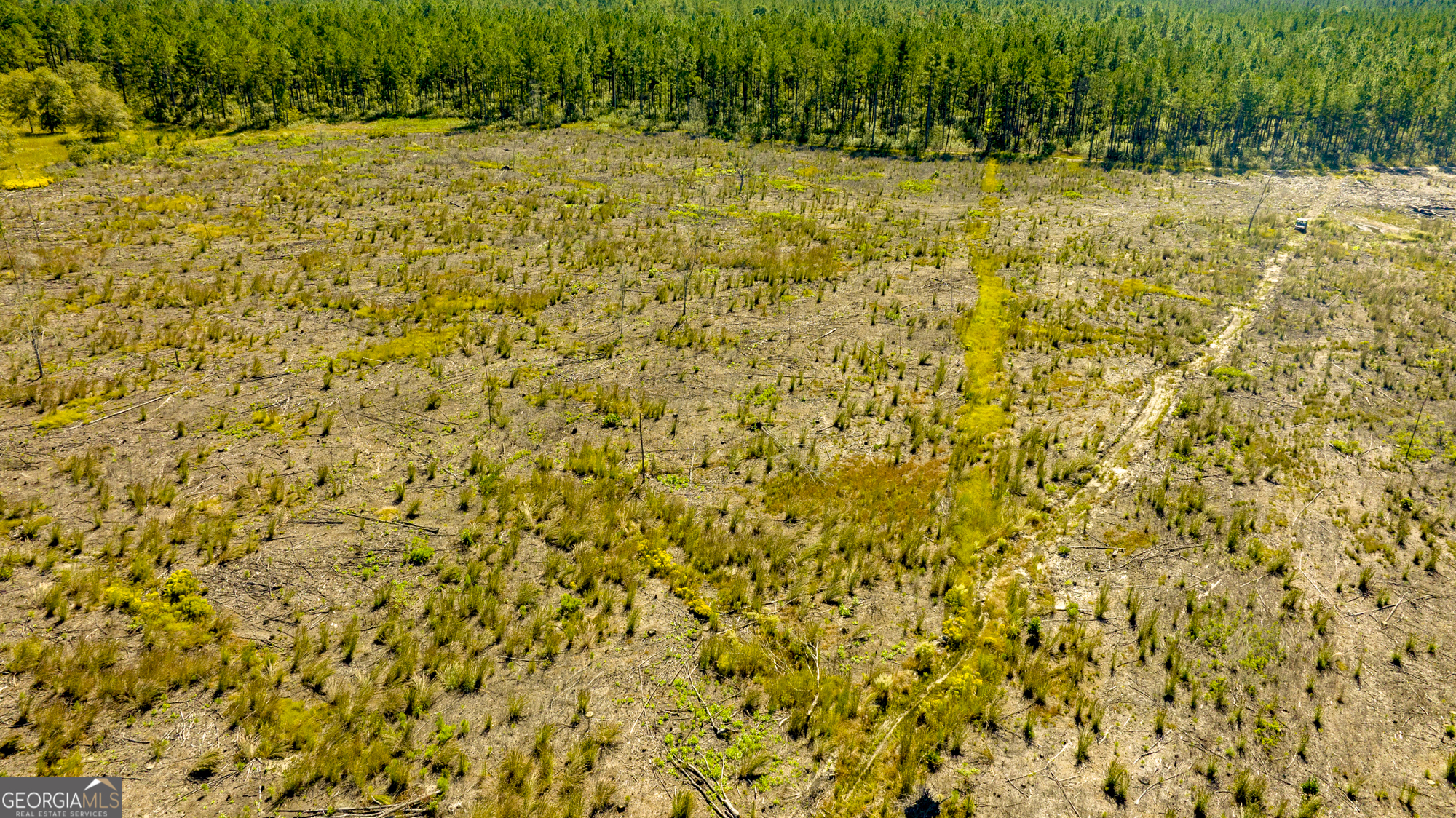 O Bay Branch Church Road Claxton, GA 30417 - Photo 42 of 52