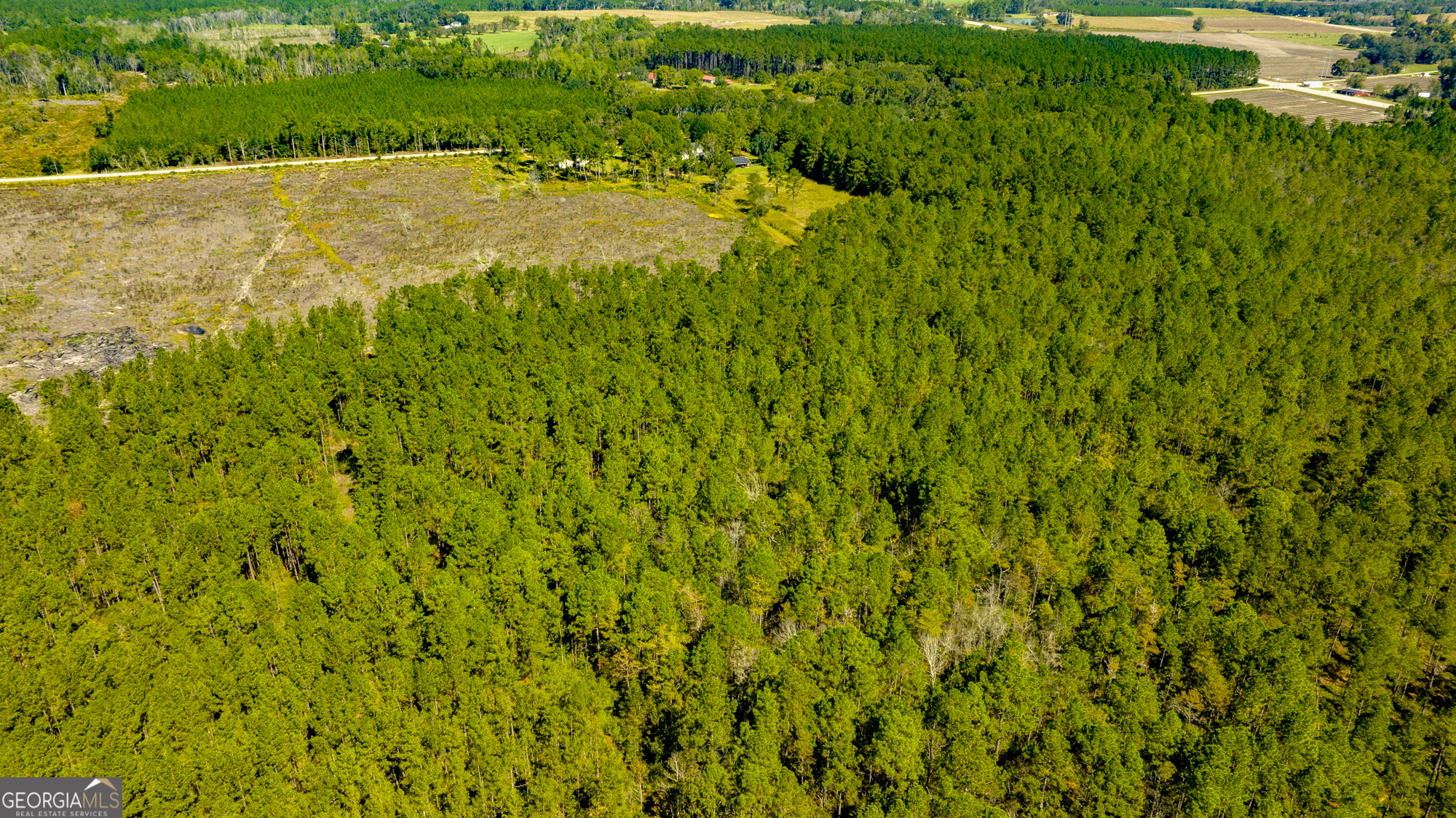 O Bay Branch Church Road Claxton, GA 30417 - Photo 43 of 52