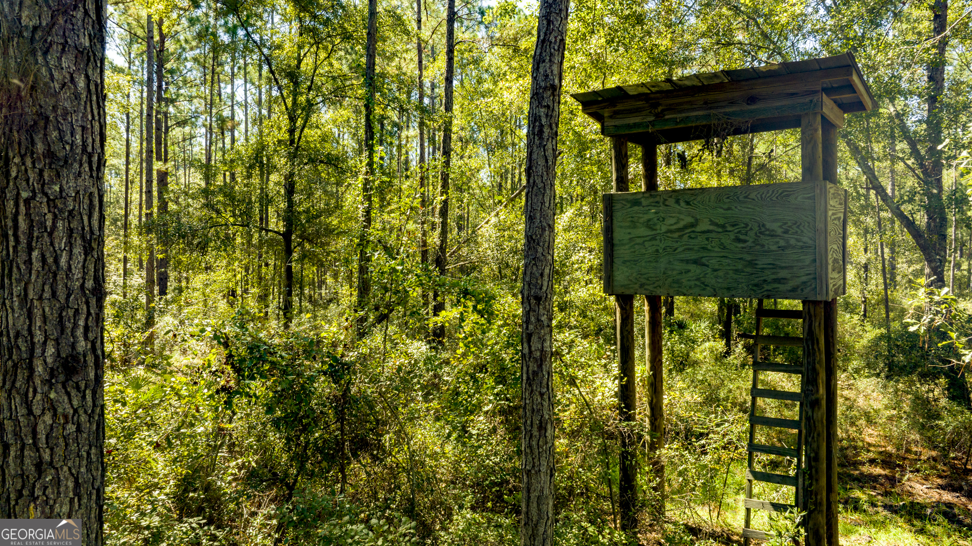 O Bay Branch Church Road Claxton, GA 30417 - Photo 44 of 52
