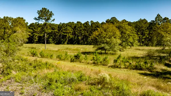 $375,000 | 0 Bay Branch Road, Claxton, GA 30417