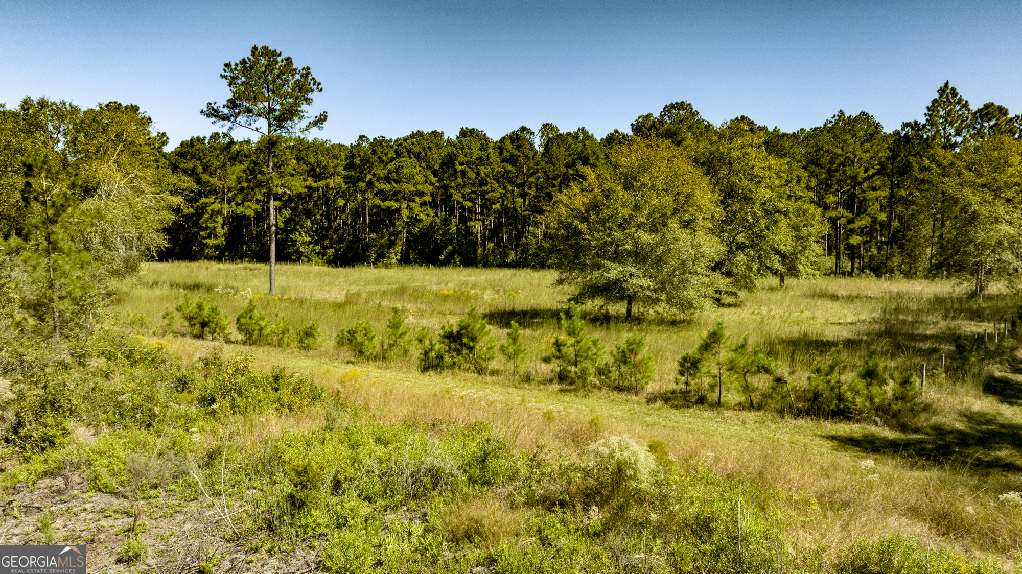 O Bay Branch Church Road Claxton, GA 30417 - Photo 47 of 52