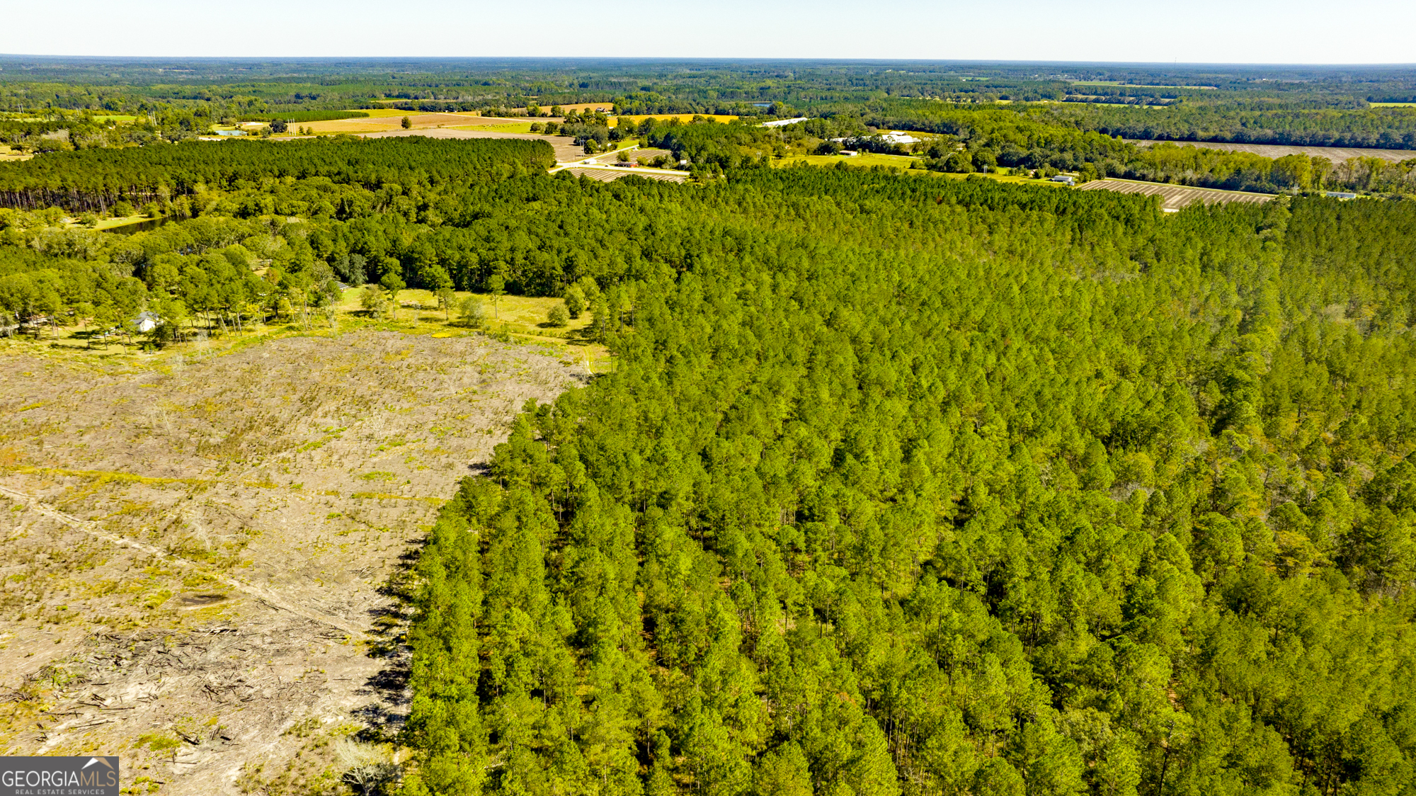 O Bay Branch Church Road Claxton, GA 30417 - Photo 49 of 52