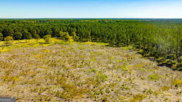$375,000 | 0 Bay Branch Road, Claxton, GA 30417