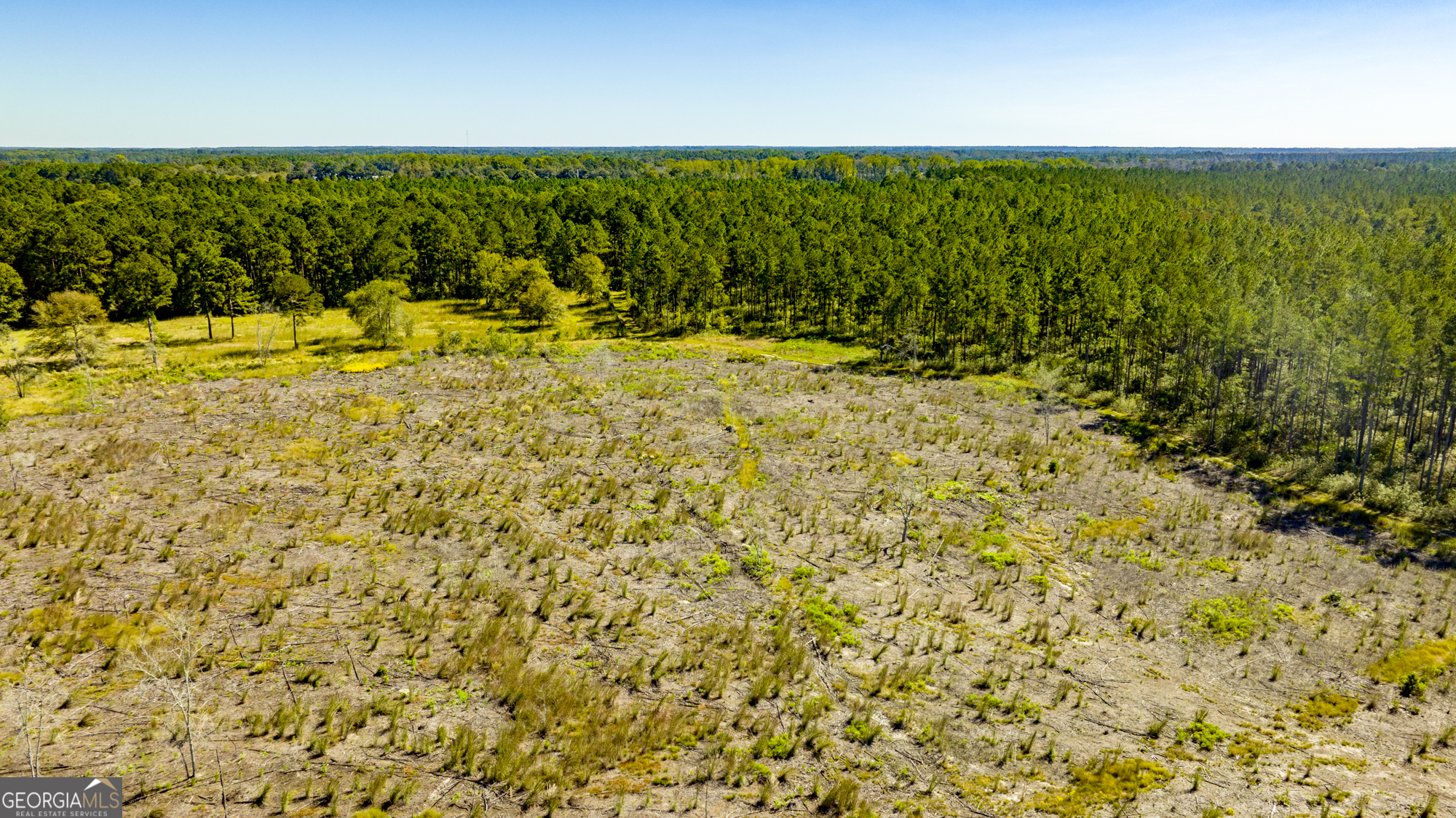 O Bay Branch Church Road Claxton, GA 30417 - Photo 50 of 52