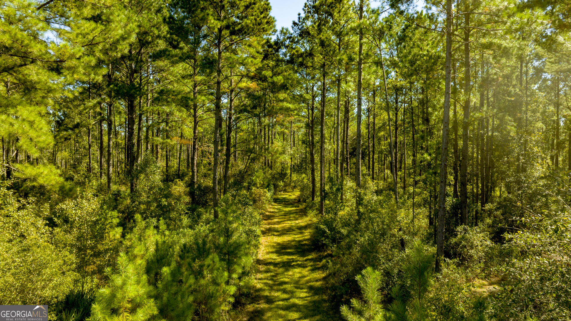 O Bay Branch Church Road Claxton, GA 30417 - Photo 5 of 52