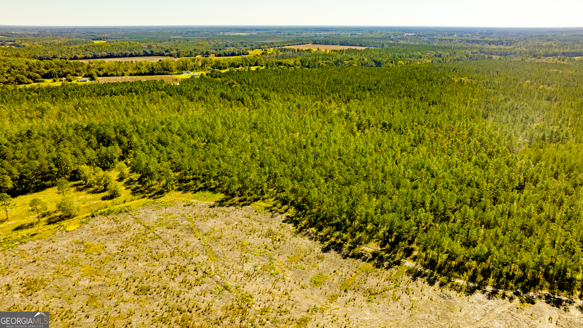 O Bay Branch Church Road Claxton, GA 30417 - Photo 51 of 52