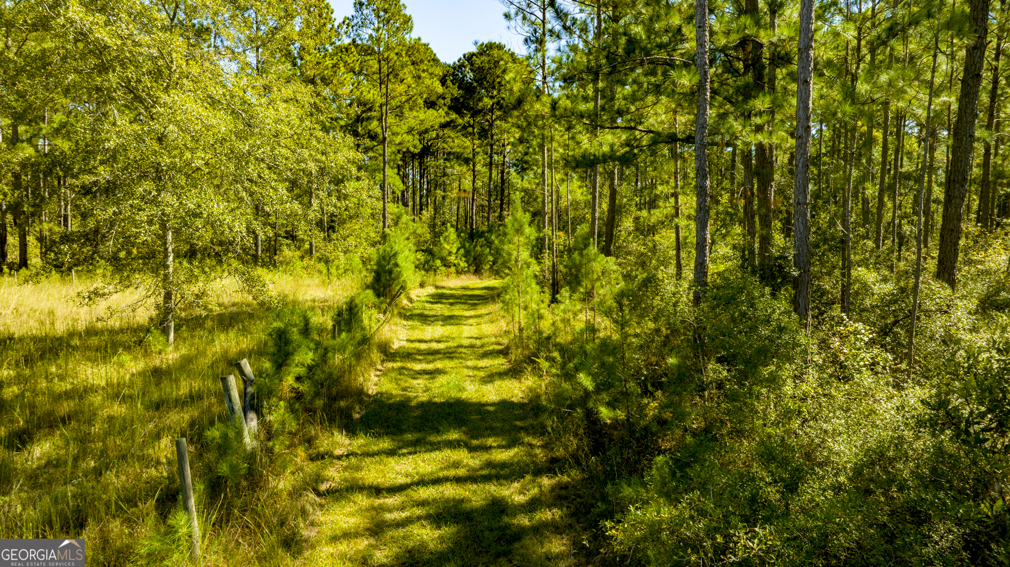 O Bay Branch Church Road Claxton, GA 30417 - Photo 52 of 52