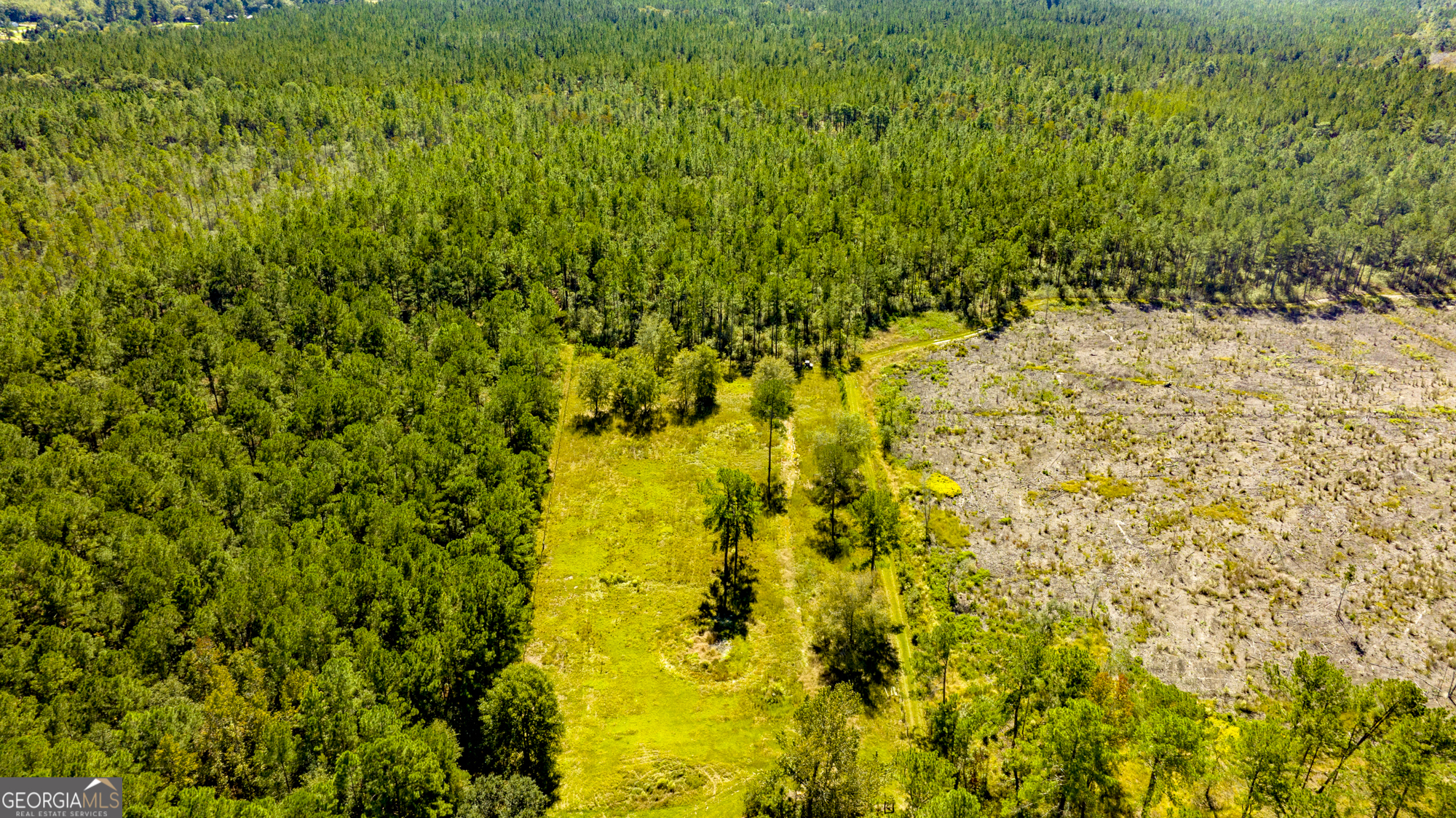 O Bay Branch Church Road Claxton, GA 30417 - Photo 6 of 52