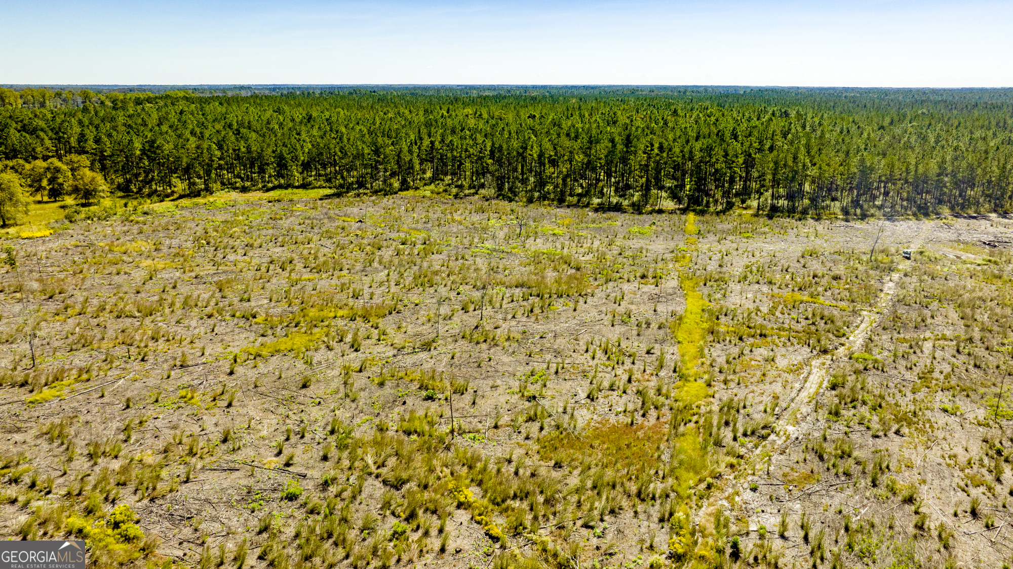 O Bay Branch Church Road Claxton, GA 30417 - Photo 7 of 52