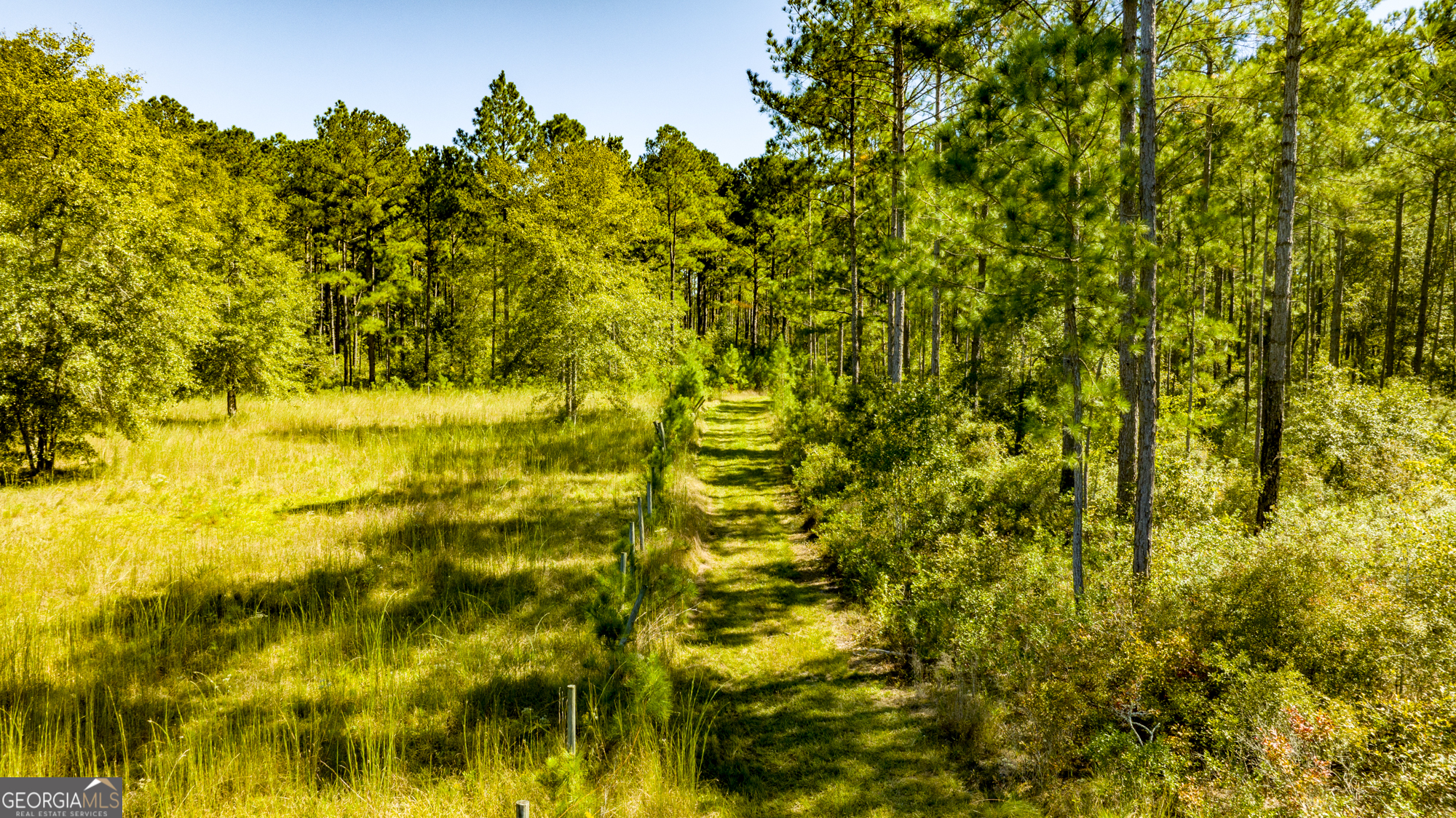 O Bay Branch Church Road Claxton, GA 30417 - Photo 8 of 52