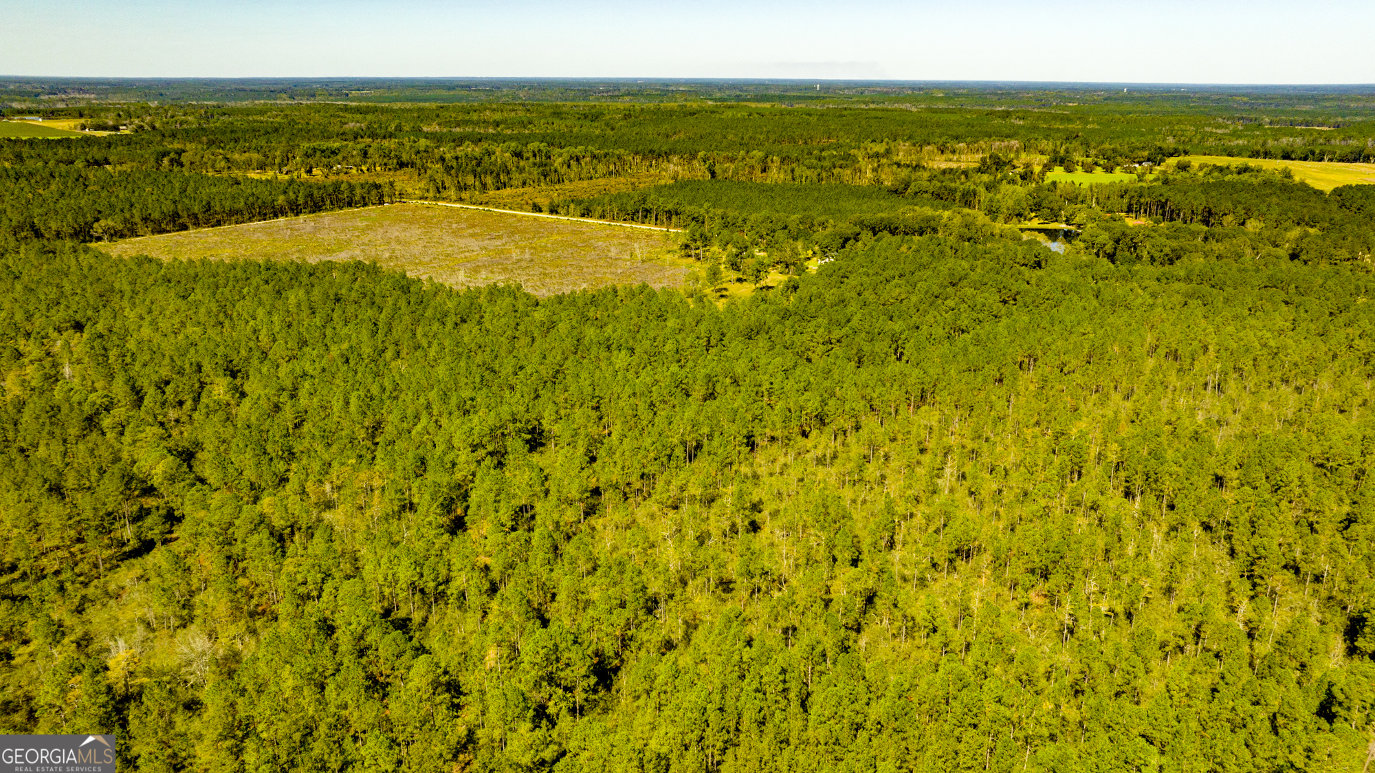 O Bay Branch Church Road Claxton, GA 30417 - Photo 10 of 52