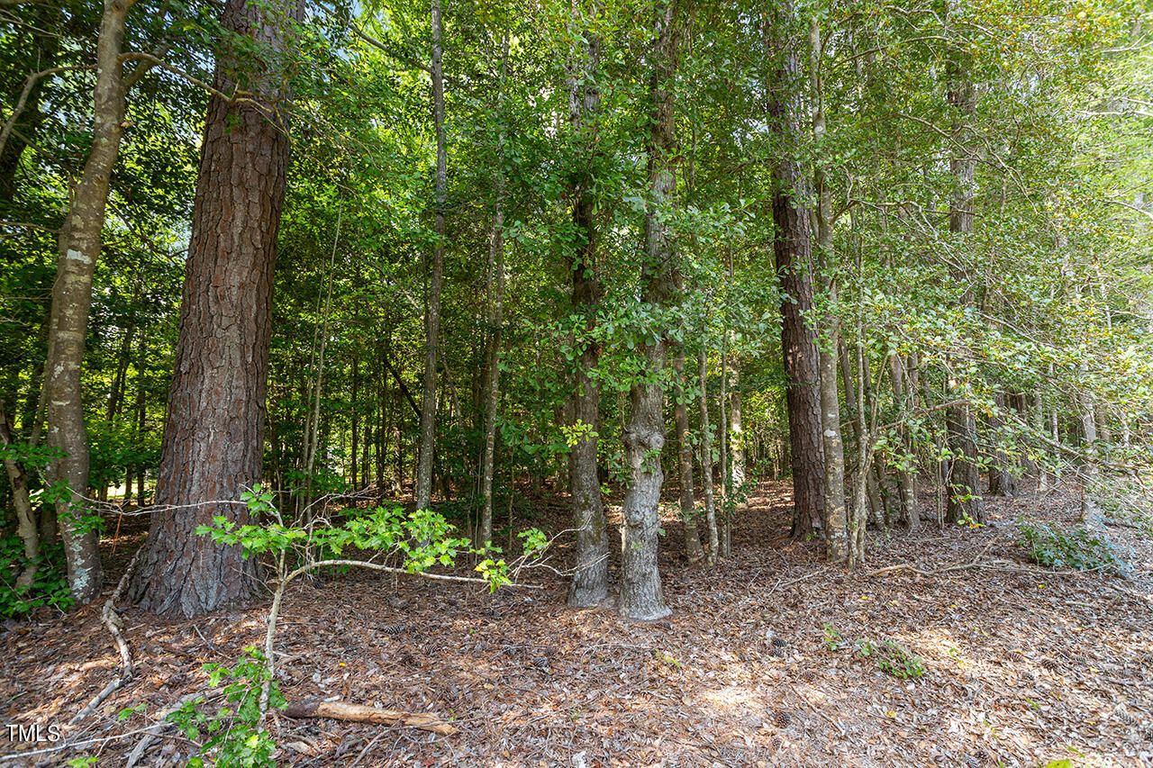 7524 Mitchell Mill Road Zebulon, NC 27597 - Photo 18 of 23 7524 Mitchell Mill Road_16