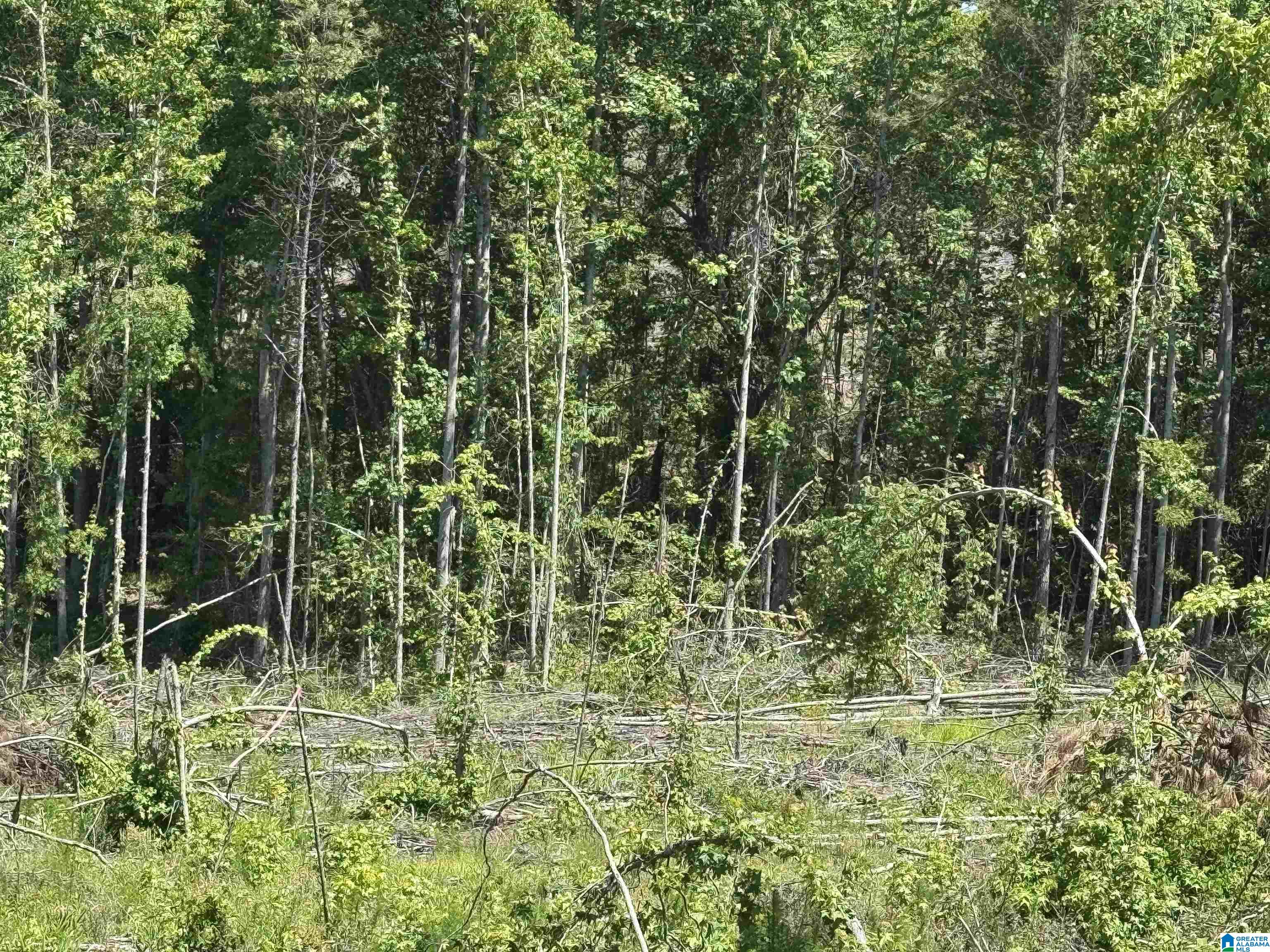 Active Road, Unit 3 Lawley, AL 36793 - Photo 14 of 20
