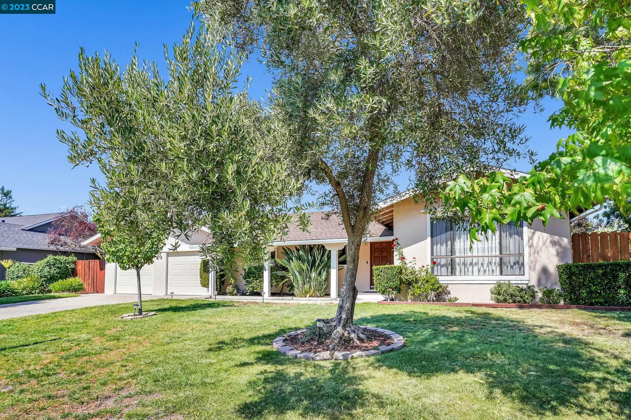 348 Barrett Circle Danville, CA 94526 - Photo 41 of 41 a tree in front of a white house