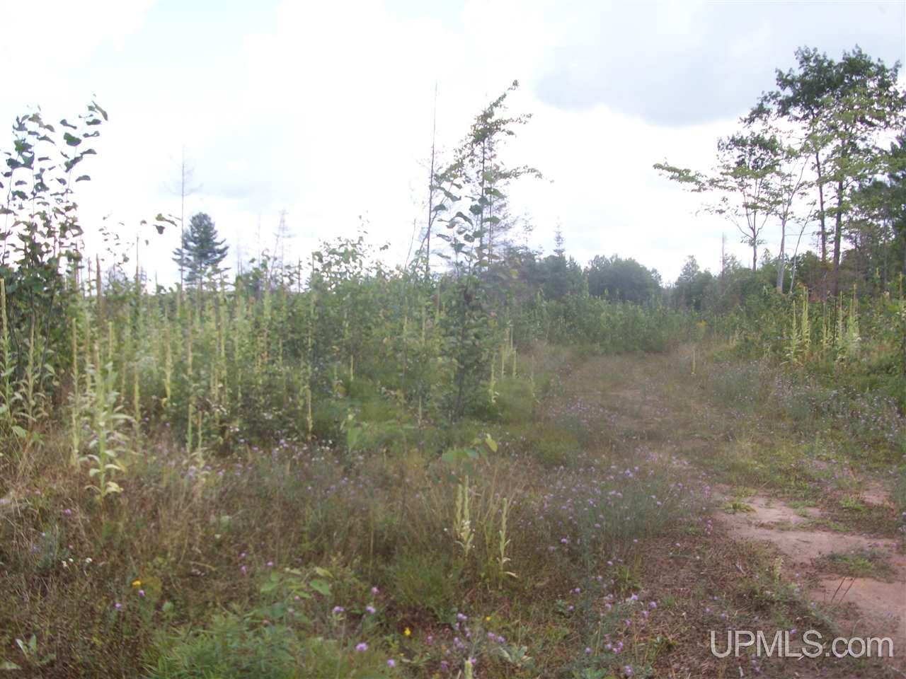 Tbd Off Co Rd 577 Carney, MI 49812 - Photo 2 of 7