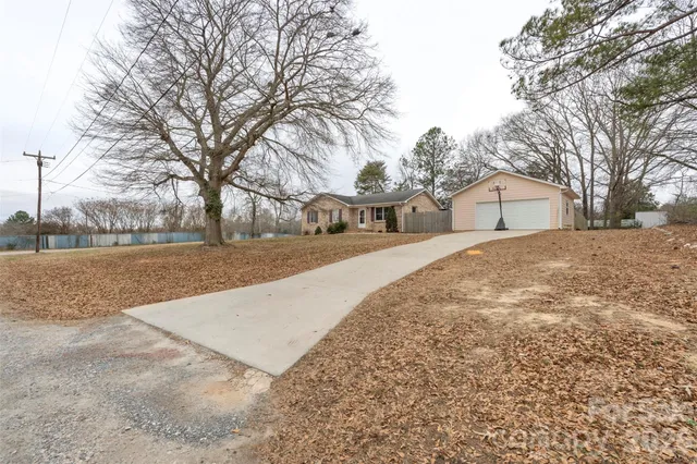 a view of dirt yard with a large tree