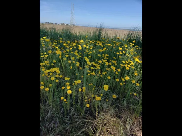 $7,900 | 6 Dockside Circle, Redwood City, CA 94065