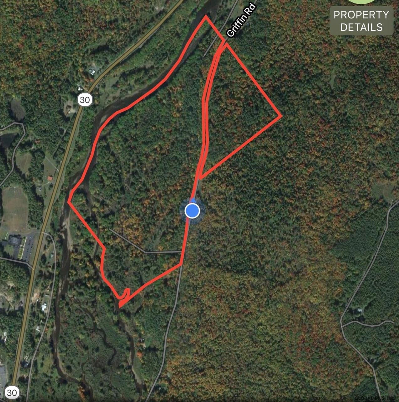 287 Griffin Road Wells, NY 12190 - Photo 1 of 4 Photo 1