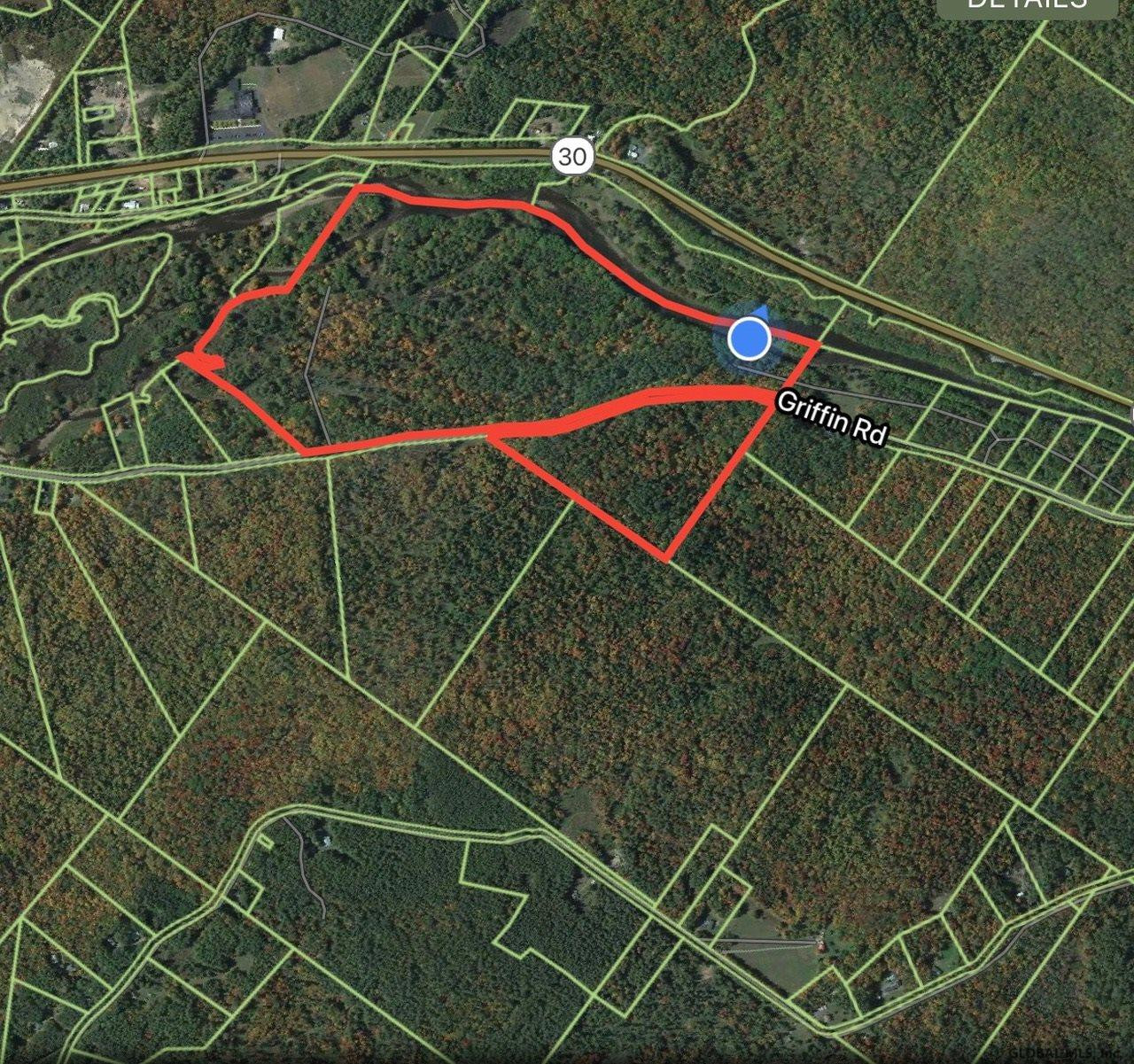 287 Griffin Road Wells, NY 12190 - Photo 2 of 4 Photo 2