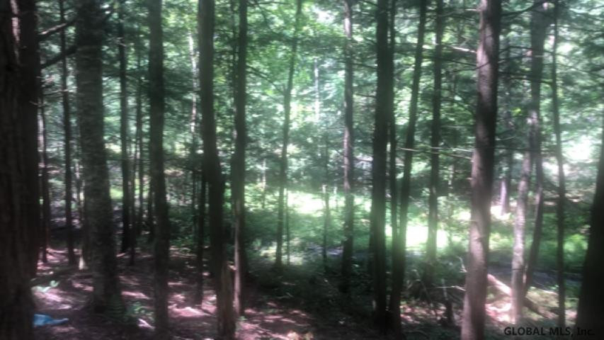 287 Griffin Road Wells, NY 12190 - Photo 3 of 4 Photo 3