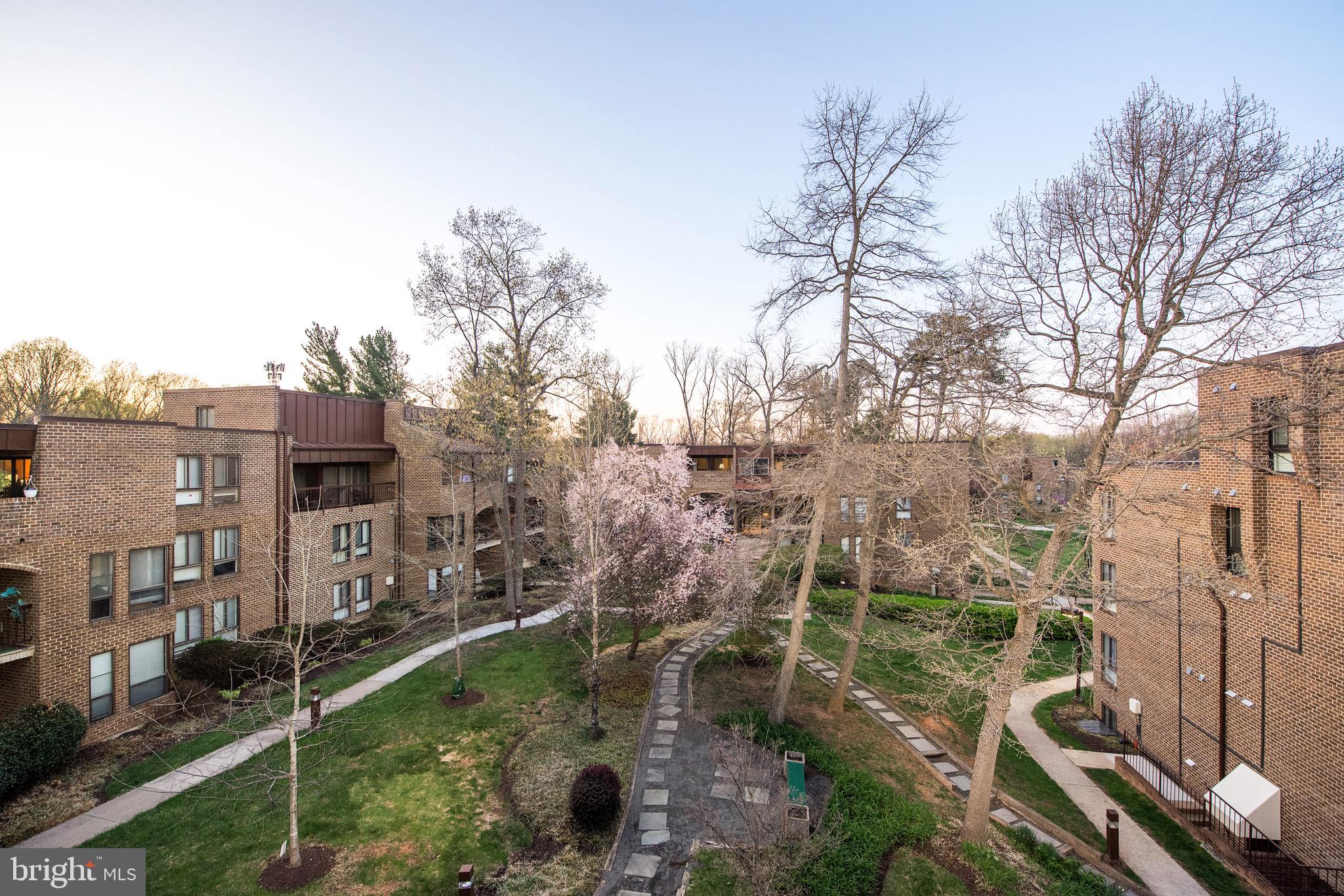 11212 Chestnut Grove Square, Unit 313 Reston, VA 20190 - Photo 3 of 22 a backyard of a house with lots of green space