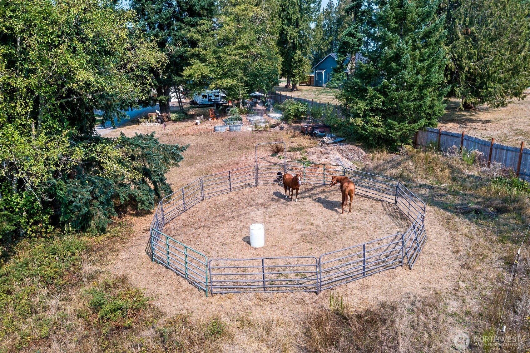 16115 243rd Street East Graham, WA 98338 - Photo 28 of 38 a view of outdoor space and yard