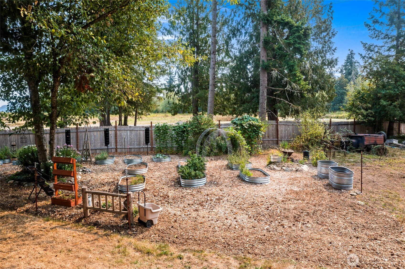 16115 243rd Street East Graham, WA 98338 - Photo 29 of 38 a view of backyard with furniture and plants