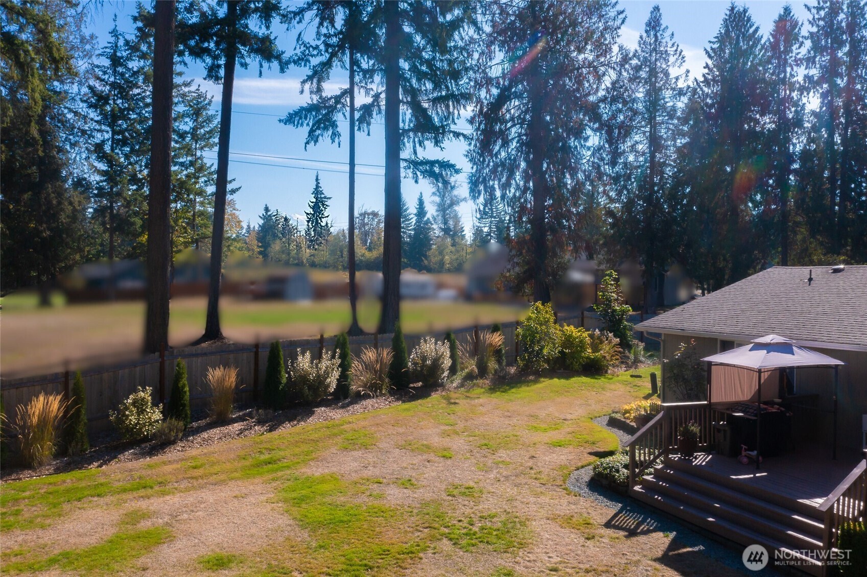 16115 243rd Street East Graham, WA 98338 - Photo 30 of 38 a view of a yard with plants and a fountain
