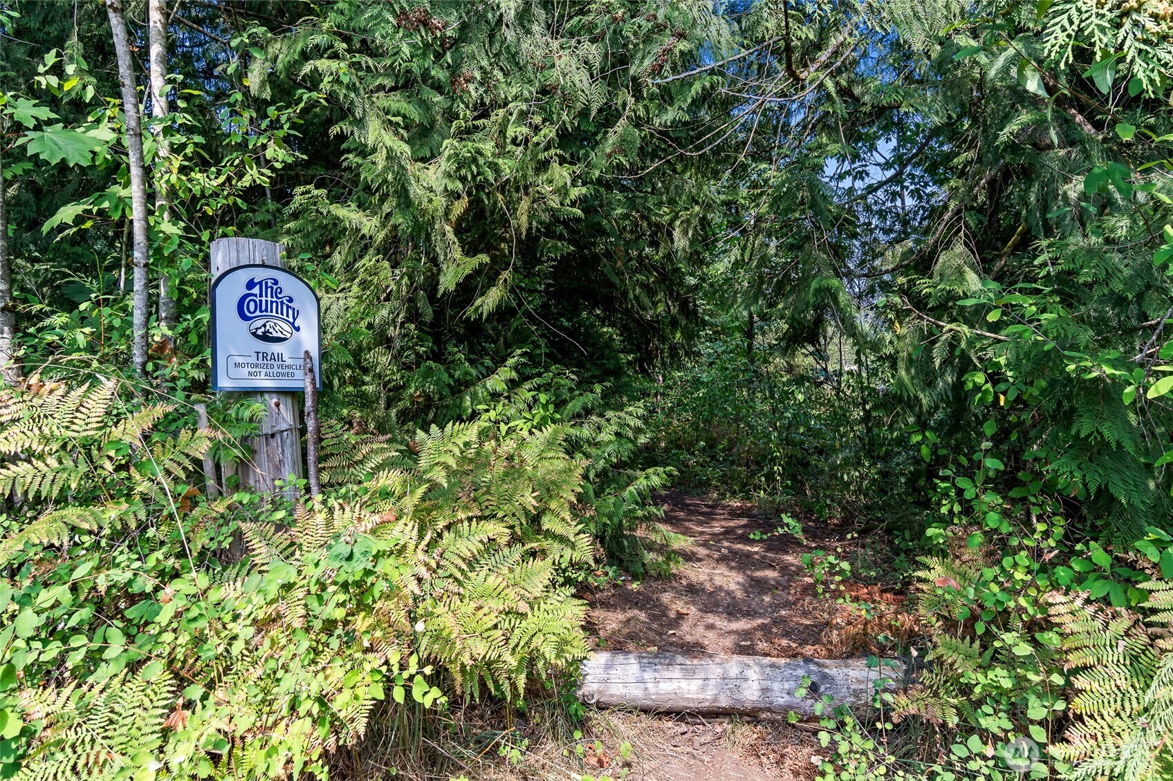 16115 243rd Street East Graham, WA 98338 - Photo 34 of 38 a sign broad in front of the red tree
