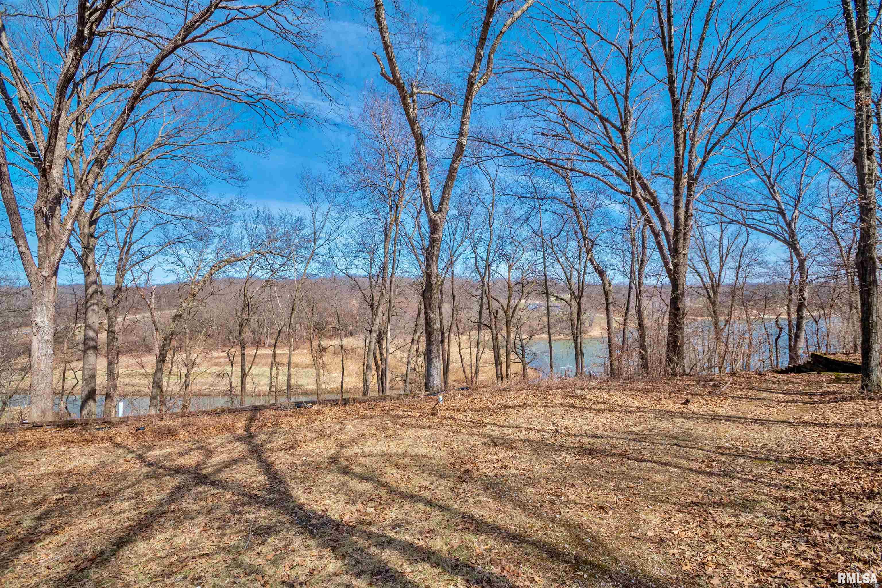 84 Walnut Court Dahinda, IL 61428 - Photo 41 of 53