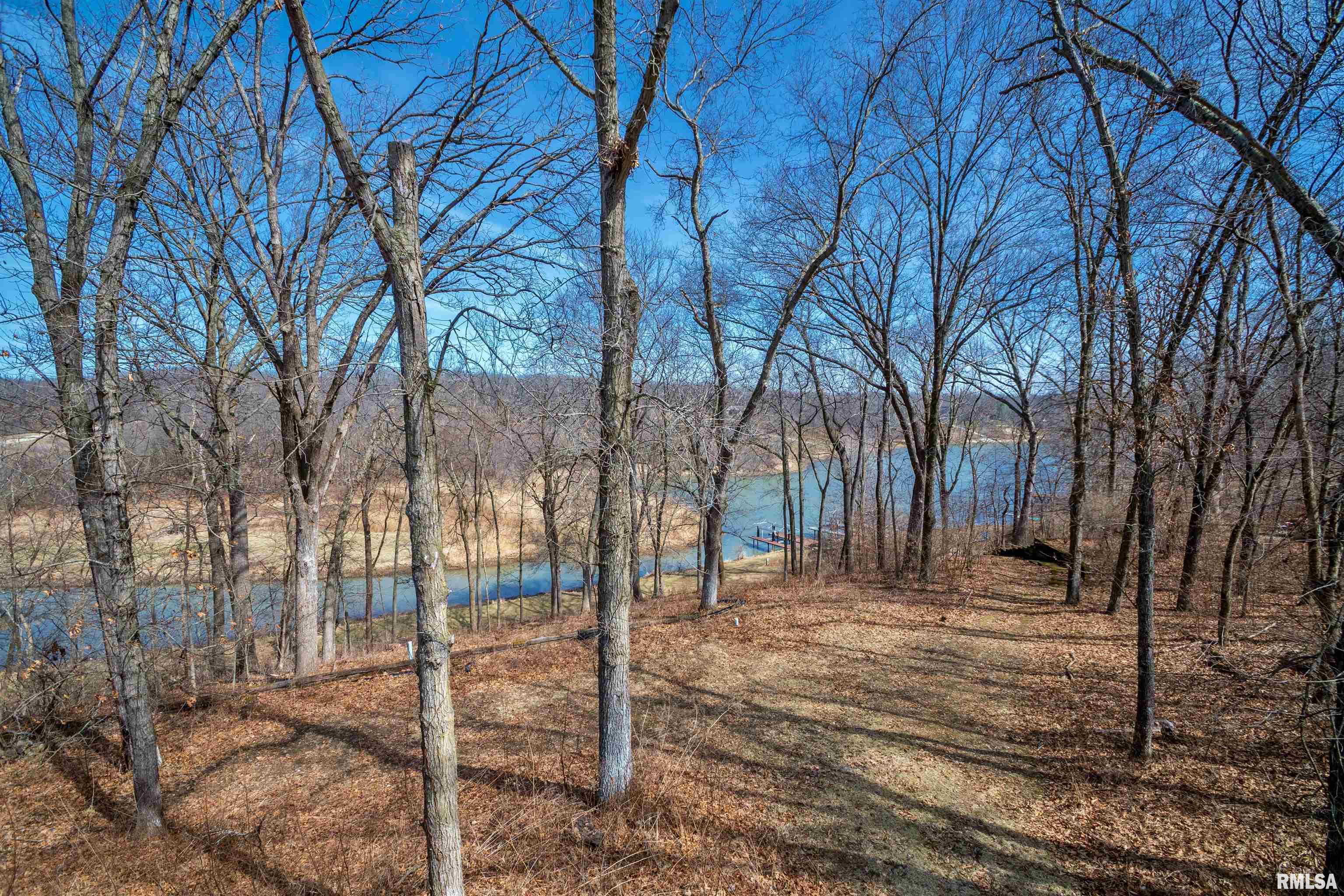 84 Walnut Court Dahinda, IL 61428 - Photo 42 of 53