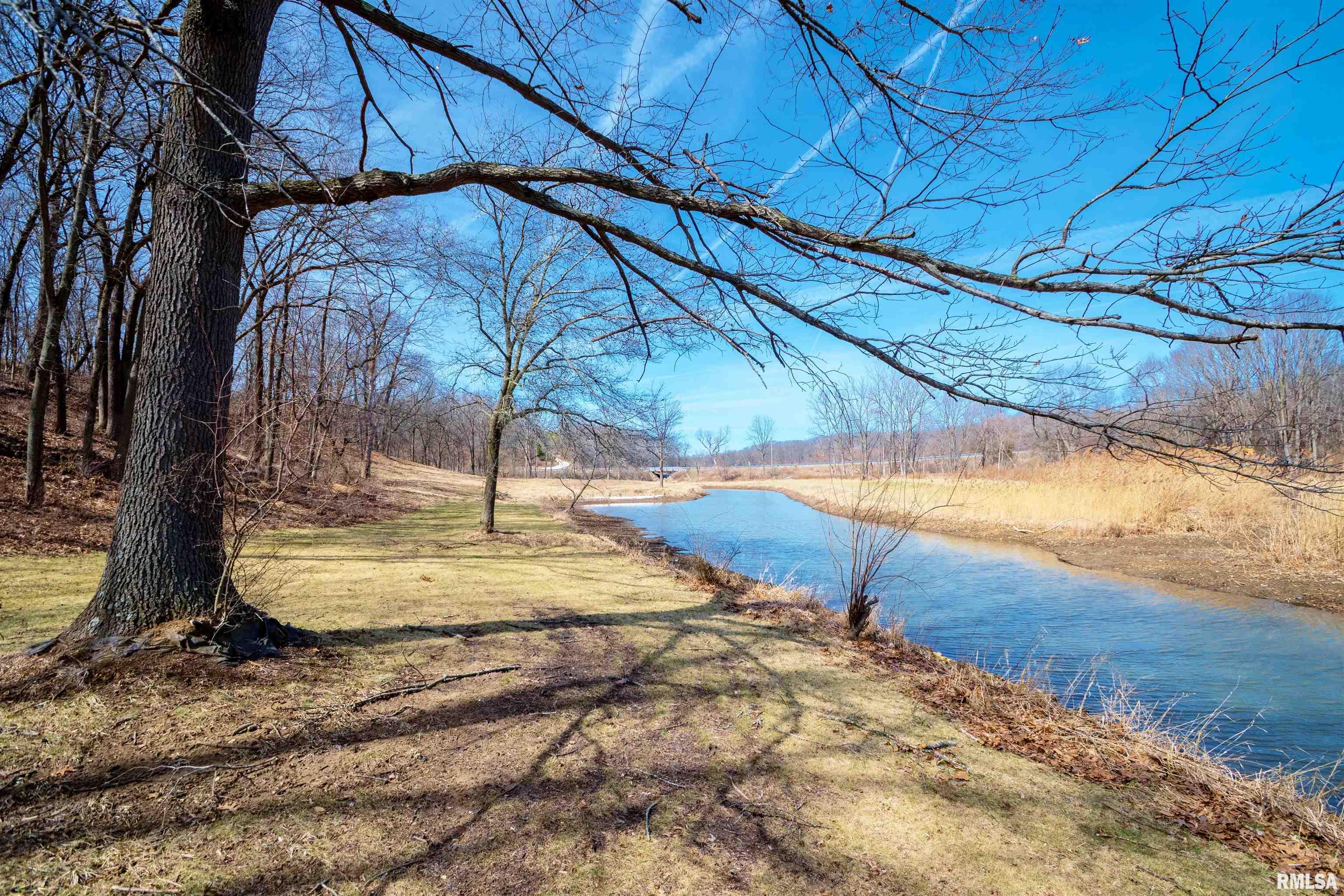 84 Walnut Court Dahinda, IL 61428 - Photo 46 of 53