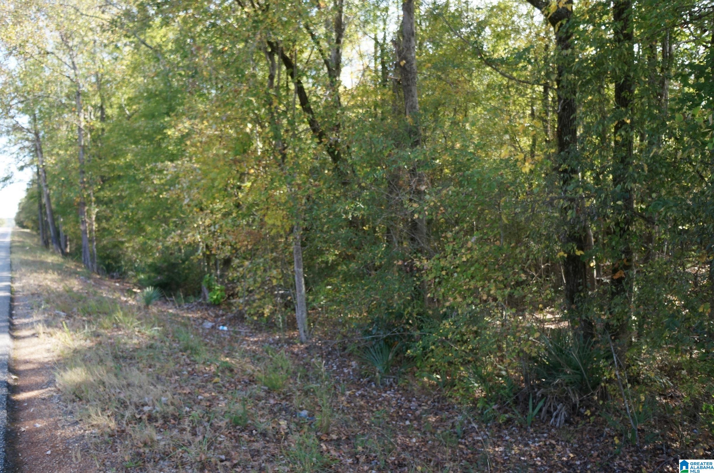 0 Old Fayetteville Road Sylacauga, AL 35151 - Photo 3 of 10
