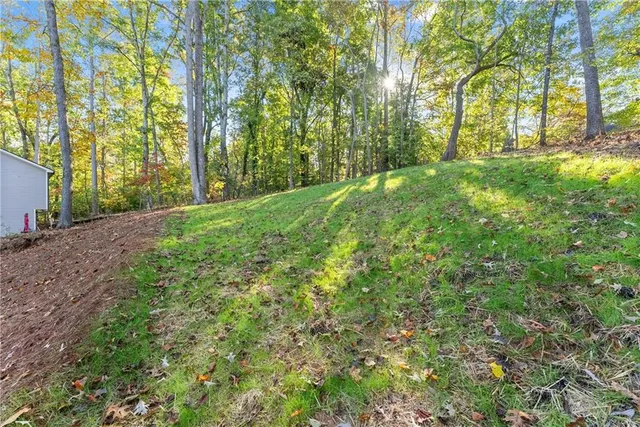 a view of a yard with trees